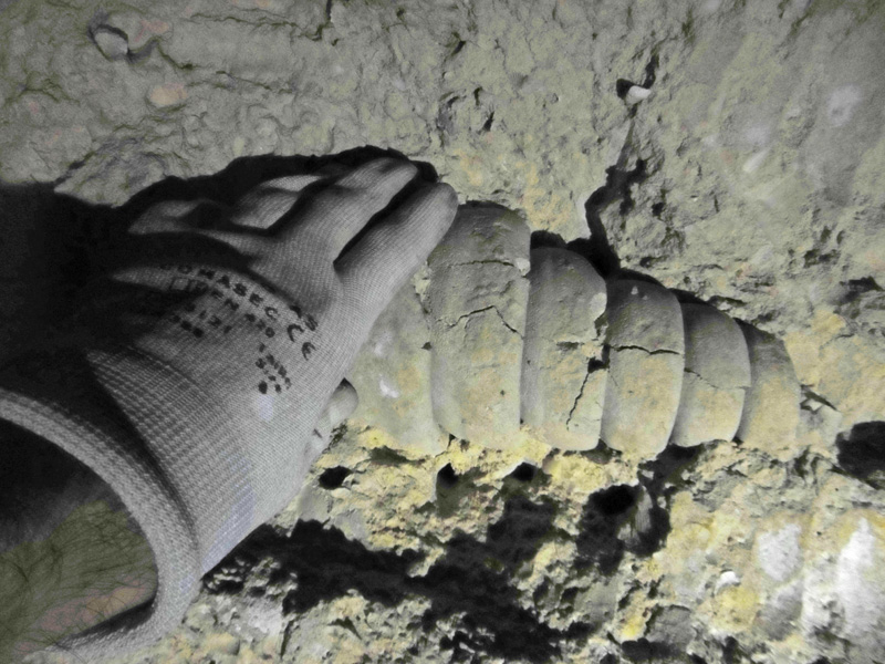 Fossile incrusté dans le plafond d'une carrière de pierre à bâtir